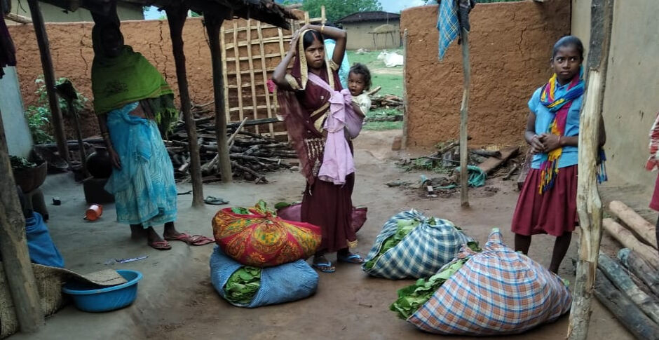 बेमौसम बारिश ने तेंदू पत्ता बेच गुजारा कर रहे आदिवासियों की बढ़ाई मुश्किलें, आई भूखों मरने की नौबत