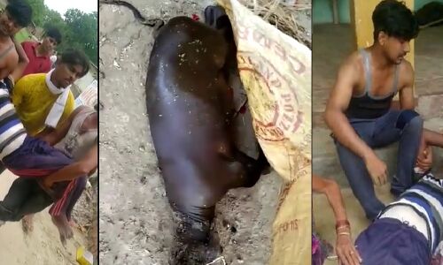 योगी के शहर गोरखपुर में दलित टोले पर सवर्णों का बर्बर हमला, गर्भवती महिला समेत आधा दर्जन लोग जख्मी