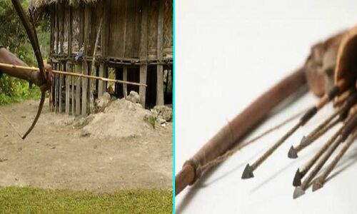 अंधविश्वास: बिलासपुर में भतीजे ने तीर मारकर चाची को उतारा मौत के घाट