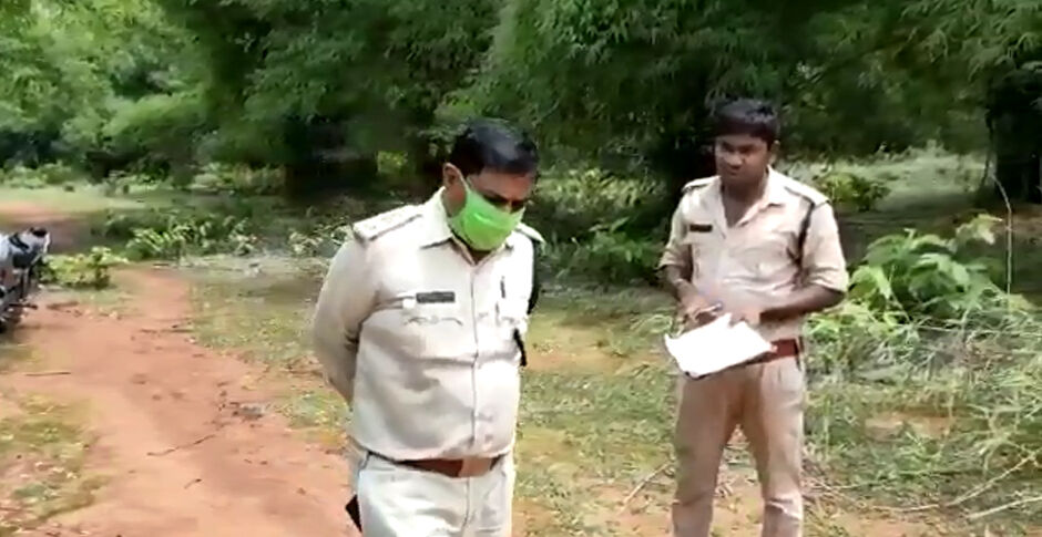 छ्त्तीसगढ में पेड़ कटाई पर वनकर्मी ने अपने ही अधिकारी के खिलाफ की कार्रवाई, वीडियो वायरल