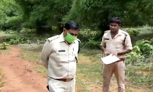 छ्त्तीसगढ में पेड़ कटाई पर वनकर्मी ने अपने ही अधिकारी के खिलाफ की कार्रवाई, वीडियो वायरल