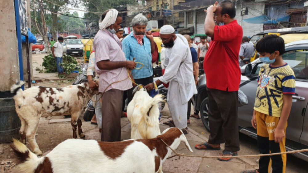 ईद के बाद अब बकरीद पर भी कोरोना की छाया, बकरा व्यापारियों को नहीं मिल रहे ग्राहक