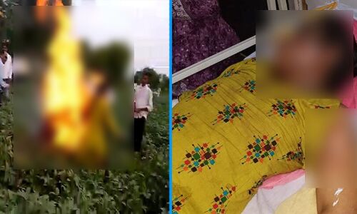 MP : अतिक्रमण हटाने के नाम पर प्रशासन ने सोयाबीन की फसल पर चलाई JCB, महिला किसान ने खुद को लगाई आग