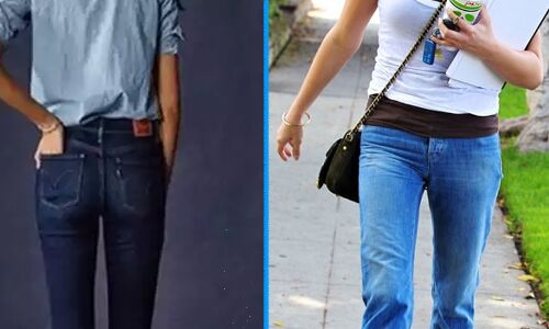 मप्र : ग्वालियर में सरकारी सेवकों को आदेश- जींस टी-शर्ट पहनकर न आएं ऑफिस, नहीं तो होगी कार्रवाई