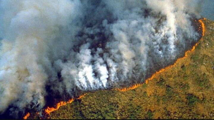 ब्राजील के अमेजन वनों में आग लगने की घटनाएं बढ़ीं, पर्यावरण को लेकर हो रही चिंता