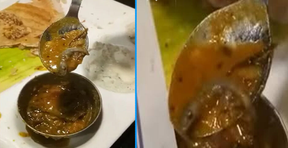 दिल्ली के रेस्तरां में सांभर में मरी हुई छिपकली मिली, वीडियो वायरल होने के बाद केस दर्ज