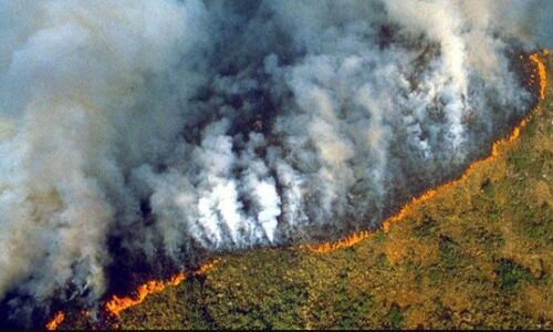 ब्राजील के अमेजन वनों में आग लगने की घटनाएं बढ़ीं, पर्यावरण को लेकर हो रही चिंता