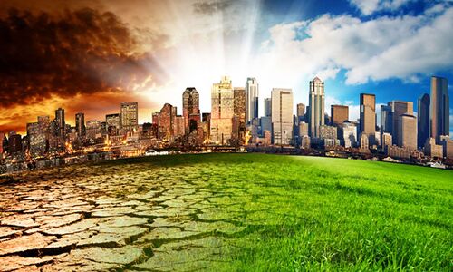 पृथ्वी पर जीवन बचाने के लिए गंभीरता से करनी होगी जैव विविधता बचाने की पहल