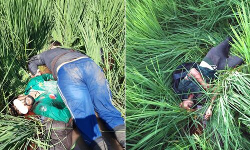 बीएसएफ ने पंजाब के तरन तारन में पांच घुसपैठियों को मार गिराया, हथियार भी बरामद बीएसएफ ने पंजाब के तरन तारन में पांच घुसपैठियों को मार गिराया, हथियार भी बरामद