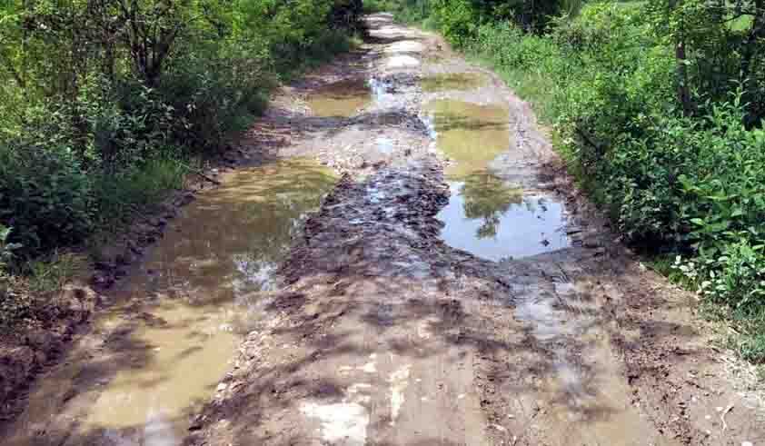 हमारे गांव में इतना विकास हुआ कि नीतीश बाबू  के 15 साल में एक पक्की सड़क नहीं बन सकी