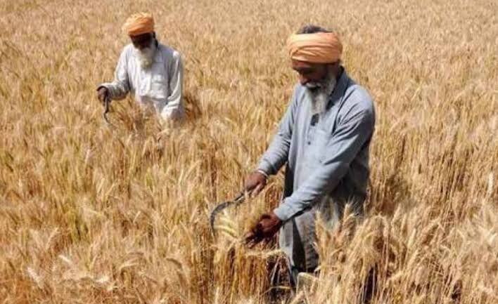 पंजाब सरकार की कोरोना काल में हुए नुकसान की आकलन कमेटी में सिर्फ पूंजीपति