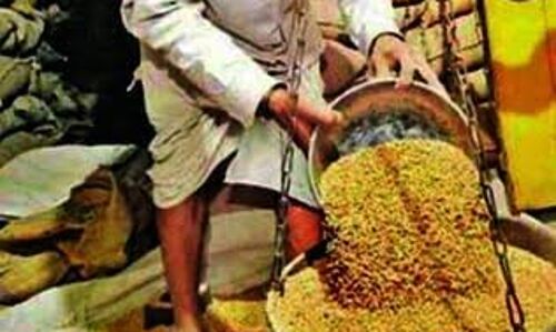 बड़ी खबर : मध्यप्रदेश के आदिवासी जिलों में राशन दुकानों पर सरकार ने बांटा सड़ा हुआ अनाज