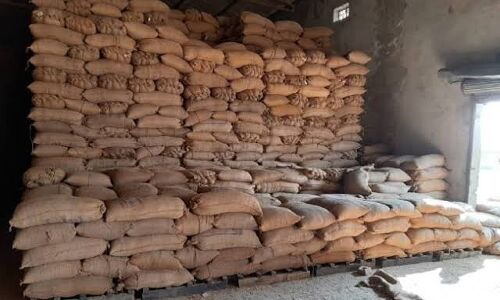 मध्य प्रदेश के कई जिलों के गोदाम में है हजारों मीट्रिक टन घटिया चावल : कांग्रेस का आरोप