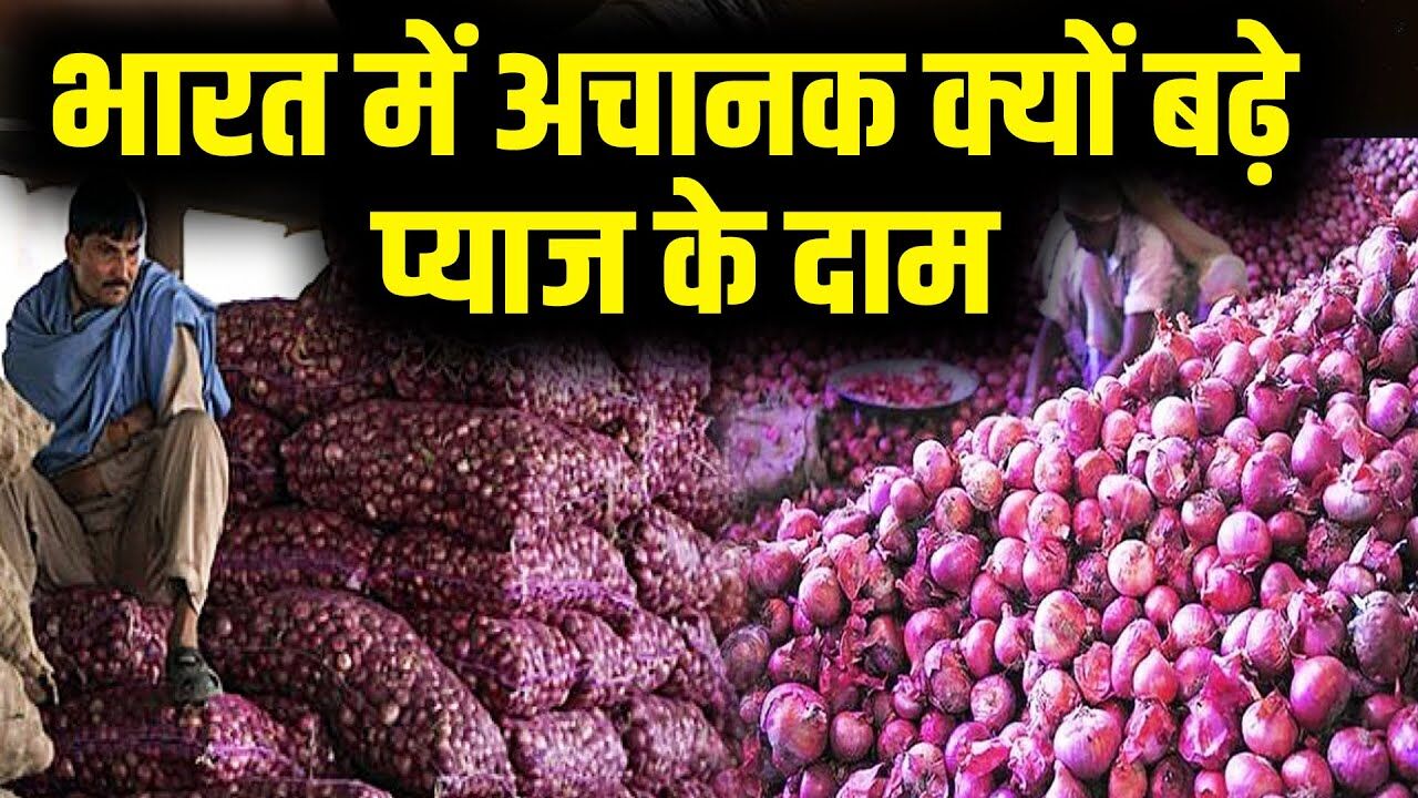 EXCLUSIVE: कौन बढ़ा रहा आलू प्याज के दाम: क्या बढ़े दाम का फायदा किसानों को मिल रहा है? EXCLUSIVE: कौन बढ़ा रहा आलू प्याज के दाम: क्या बढ़े दाम का फायदा किसानों को मिल रहा है?