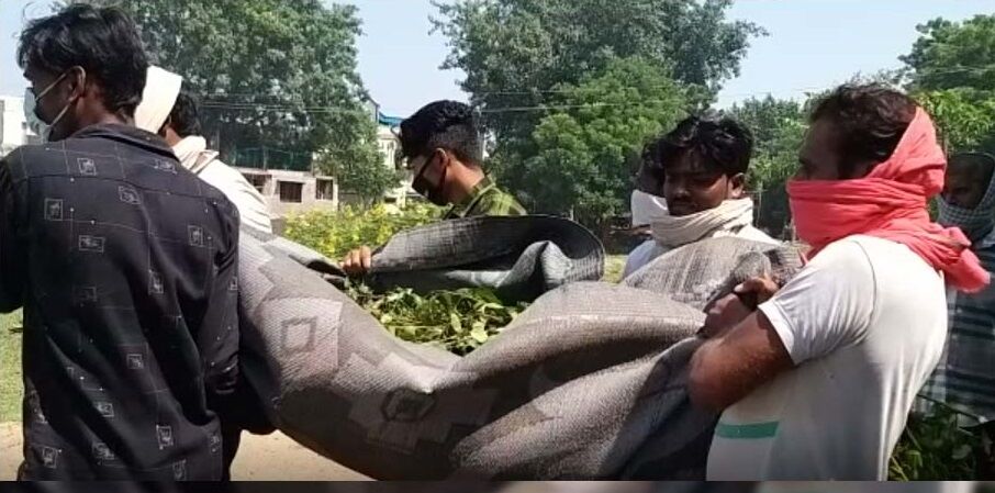 4 दिन तक गैंगरेप पीड़ित दलित महिला काटती रही थाने के चक्कर, पुलिस ने रिपोर्ट लिखने के बजाय किया प्रताड़ित तो कर ​ली आत्महत्या