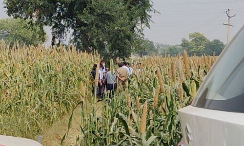 हाथरस : सीबीआई जांच के चलते किसान की फसल बर्बाद, मुआवजा मांगा