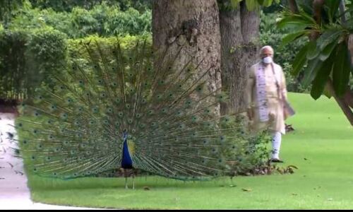 पीएम मोदी आज शाम छह बजे देश को करेंगे संबोधित, जनता बोली नो मोर