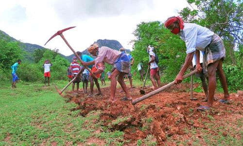 केरल के आदिवासी दशकों से कर रहे थे सड़क की मांग, शासन-प्रशासन ने नहीं ली सुध तो खुद ही बना डाली रोड