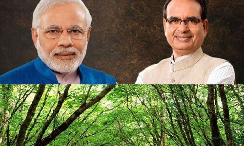 सबकुछ बेच देगी मोदी सरकार, अब जंगलों के निजीकरण की बारी