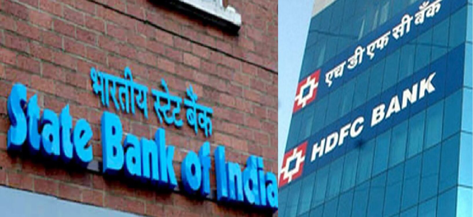 भारत के दो बड़े बैंक SBI और HDFC भी जैव-विविधता को नुकसान पहुंचाने के लिए ज़िम्मेदार