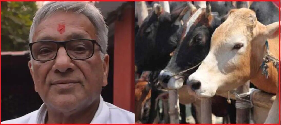हरियाणा कांग्रेस नेता पर UP में गोहत्या का मामला दर्ज, हिंदूवादी संगठनों ने किया प्रदर्शन, 3 गायों को गोली मारने का आरोप