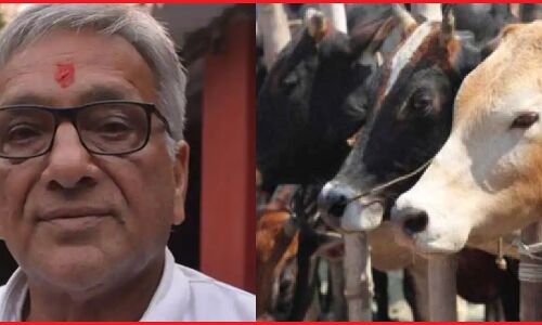 हरियाणा कांग्रेस नेता पर UP में गोहत्या का मामला दर्ज, हिंदूवादी संगठनों ने किया प्रदर्शन, 3 गायों को गोली मारने का आरोप