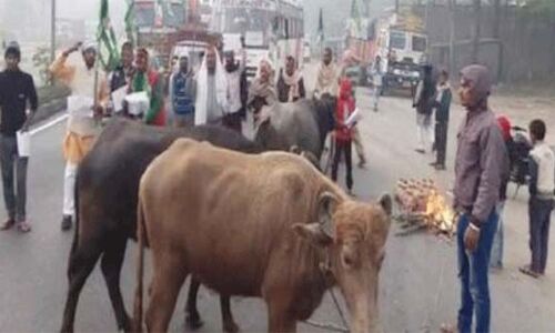 ट्रेड यूनियनों और किसानों के आंदोलन के समर्थन में राजद और वामदल सुबह-सुबह सड़क पर उतरे