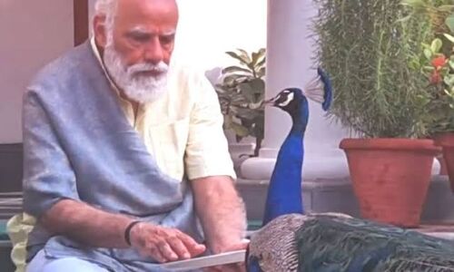 प्रधान सेवक मोर चुगाएँ तो प्रधानमंत्री और अन्नदाता पैंट-शर्ट में दिख जाएं तो नकली किसान