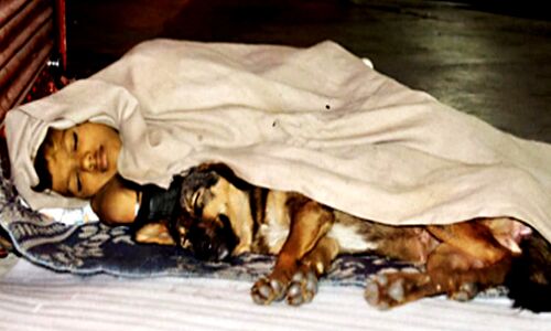 यूपी: अपनो ने छोड़ा तो बेजुबान बना सहारा, वायरल हुआ 9 साल का अंकित