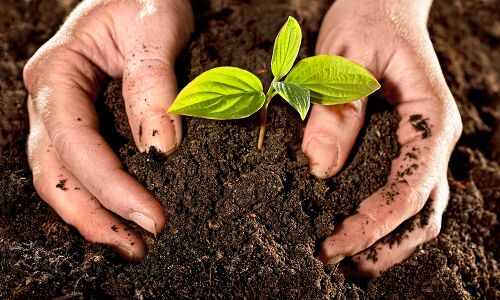 भूख मिटाने के लिए मिट्टी के बारे में सोचना पड़ेगा, औद्योगिक क्रांति के बाद 135 अरब टन हुई नष्ट : रिपोर्ट भूख मिटाने के लिए मिट्टी के बारे में सोचना पड़ेगा, औद्योगिक क्रांति के बाद 135 अरब टन हुई नष्ट : रिपोर्ट