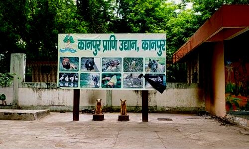 यूपी के कानपुर में बर्ड फ्लू ने दी दस्तक, चिड़ियाघर सील - मारे जाएंगे जंगली पक्षी