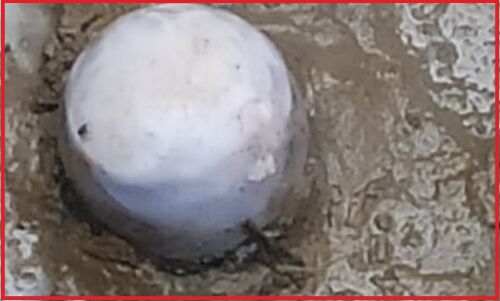 अंधविश्वास : शिवलिंग मानकर LED बल्ब की घंटों तक हुयी पूजा—आया चढ़ावा, जब पूरा खोदा तो पीटने लगे माथा