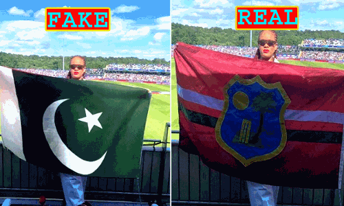 फैक्ट चेक : क्या रिहाना पाकिस्तानी हैं और उनके हाथ में है पाकिस्तान का झंडा