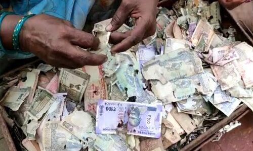 किस्मत का खेल: रद्दी में तब्दील हो गए लाखों के नोट, कारोबारी ने घर बनाने के लिए रखे थे ट्रंक में