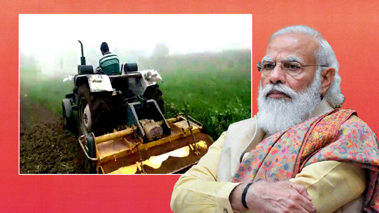 कृषि कानूनों के खिलाफ किसान ने छह बीघा खेत पर खड़ी गेहूं की फसल को किया नष्ट