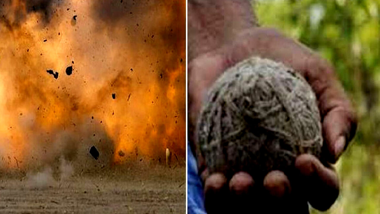 बिहार : खेल के मैदान में बच्चों ने गेंद समझकर उठाया बम, विस्फोट में एक की मौत