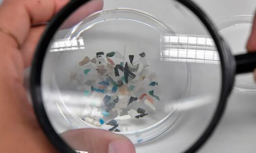 भोजन और सांस के साथ प्रतिवर्ष लगभग सवा लाख प्लास्टिक के टुकड़ों को अपने शरीर के अन्दर पहुंचा रहा मनुष्य