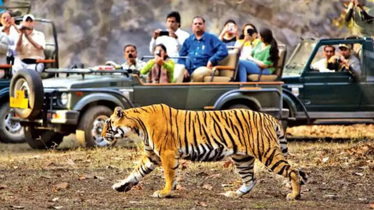 नई पहल : पहली बार जिम कार्बेट टाइगर रिजर्व में 50 महिलाएं नेचर गाइड, जिप्सी चालक भी