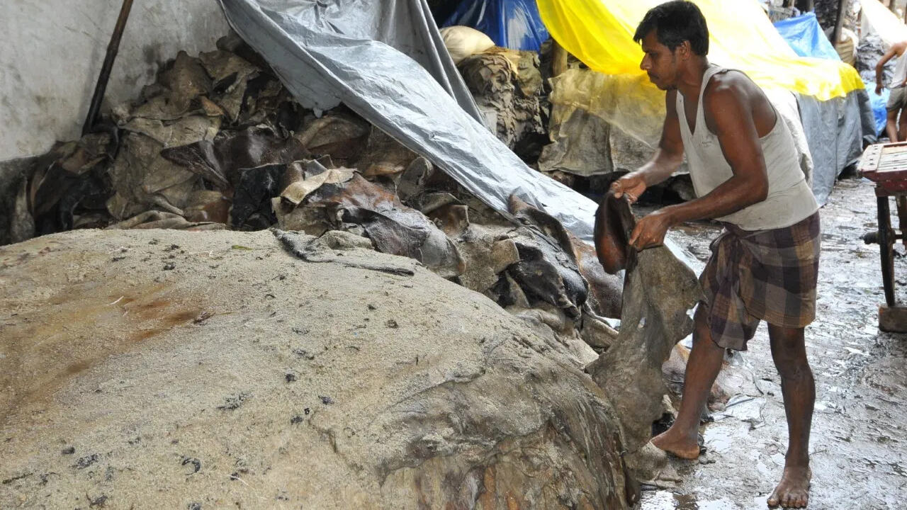 उत्तर प्रदेश प्रदूषण नियंत्रण बोर्ड ने कानपुर में 95 टेनरी अनिश्चितकाल के लिए किए बंद