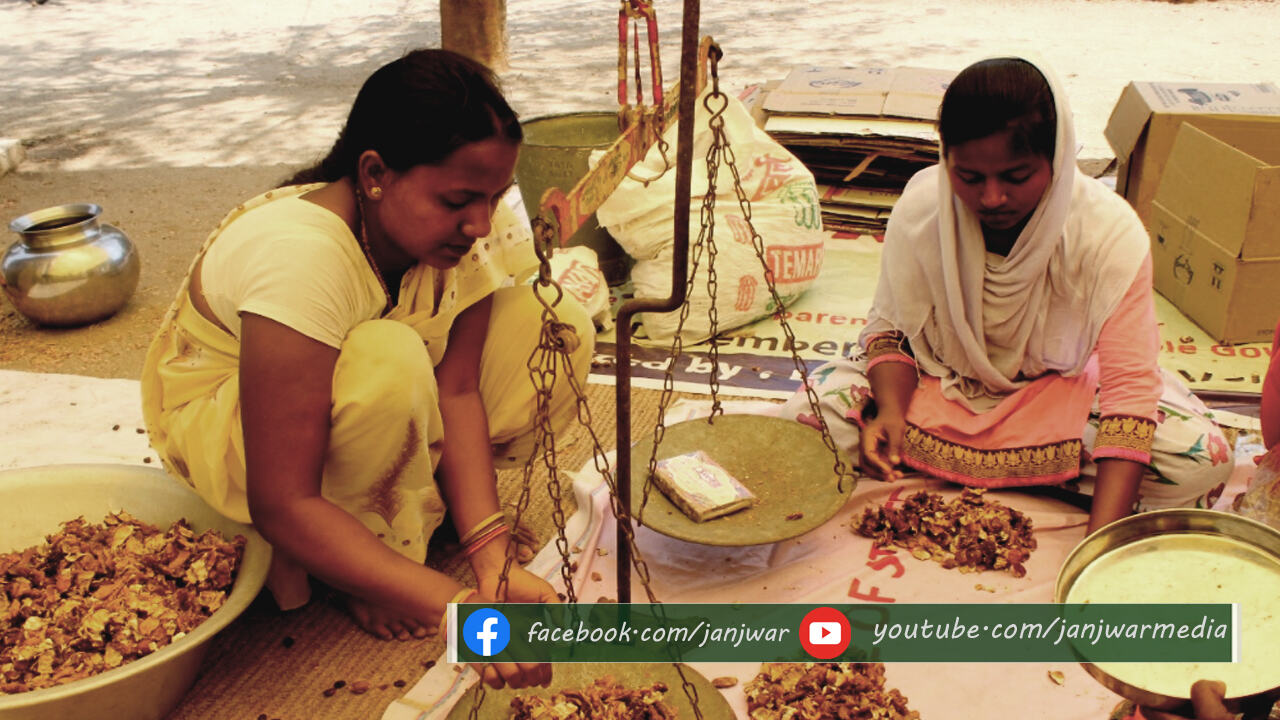 झारखंड में इमली की खटास से ग्रामीण महिलाएं घोल रही जीवन में मिठास