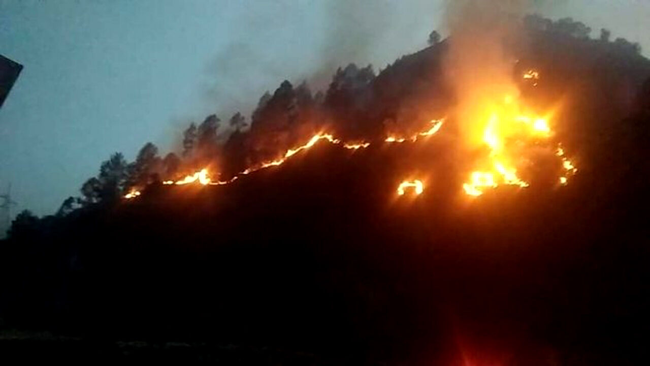 पर्यावरण हलचल : समुदाय के बिना नही बुझाई जा सकती हिमालय की यह आग