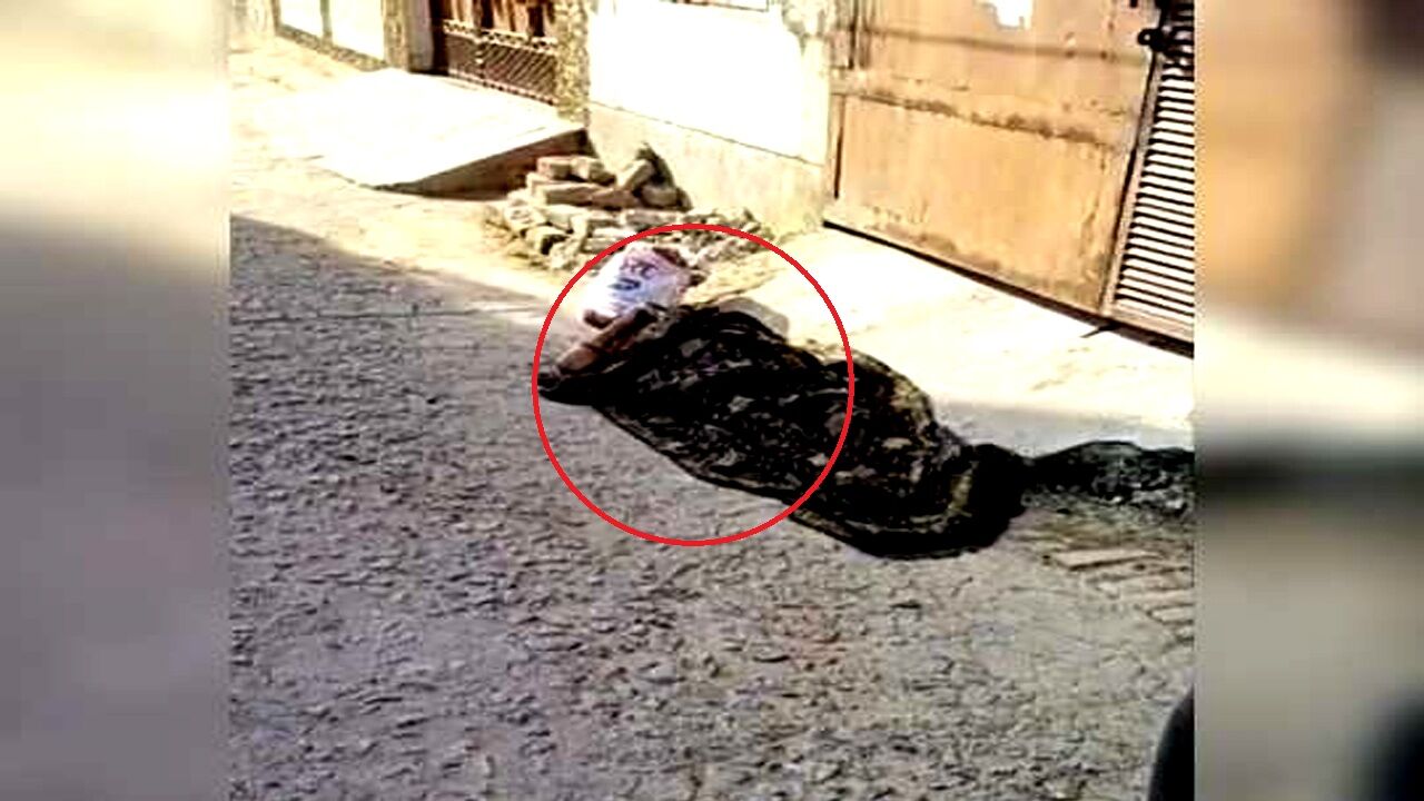 यूपी: कानपुर में भी कोरोना संदिग्ध बुजुर्ग मां को सड़क पर लिटाकर फरार हुआ बेटा, दम तोड़ा