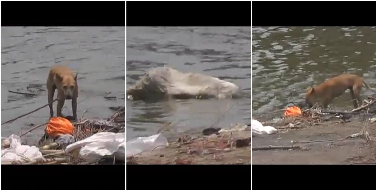 UP : कोरोना वायरस ने पसारे गांवों तक पैर, महकमा छुपा रहा आंकड़े, यमुना में बह रही लाशों को नोच रहे कुत्ते UP : कोरोना वायरस ने पसारे गांवों तक पैर, महकमा छुपा रहा आंकड़े, यमुना में बह रही लाशों को नोच रहे कुत्ते