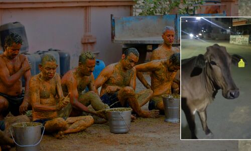 गुजरात में कोरोना से बचने के लिए अब शरीर पर गाय का गोबर तक लगा रहे लोग, डॉक्टरों ने दी चेतावनी