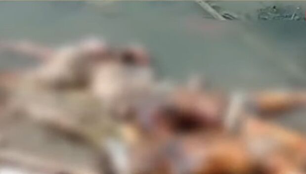 गंगा में भारी संख्या में लाशें मिलने के बाद बिहार प्रशासन ने UP सीमा पर लगाये महाजाल, बढ़ाया पुलिस का पहरा