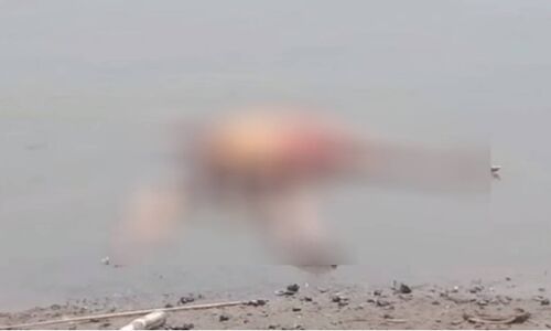 गाजीपुर, बक्सर, बनारस, उन्नाव के बाद भदोही-मिर्जापुर में गंगा नदी में बहते शव मिलने से मचा हड़कंप