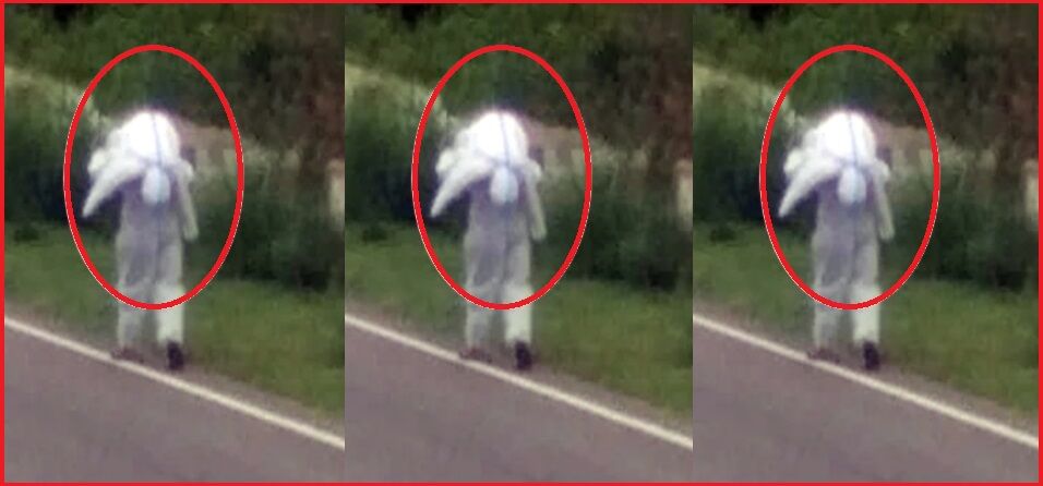 हिमाचल में कोरोना पॉजिटिव महिला की लाश को नहीं नसीब हुए 4 कंधे, बेटे ने अकेले पहुंचाया श्मशान