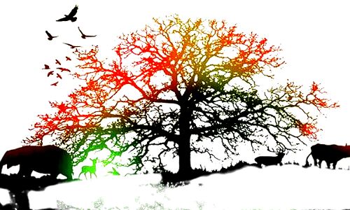 पृथ्वी पर जैव-विविधता संरक्षित करने के आधे-अधूरे प्रयास, रेड लिस्ट में विलुप्तिकरण की तरफ बढ़ती जा रही प्रजातियों की संख्या