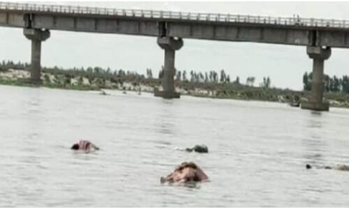 UP : गंगा का जलस्तर बढ़ने से उन्नाव के बक्सर घाट पर पानी में दिखने लगे शव, बीच नदी रेत के टीले में दफनायी गई थीं सैकड़ों लाशें