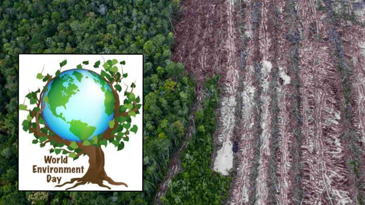 विशेष :  धरती का पर्यावरण बचाने के बदले मनुष्य चाँद और मंगल पर बस्तियां बनाने में ज्यादा सक्रिय